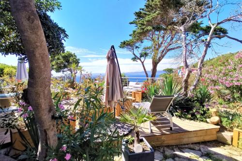 a patio with an umbrella and some plants at Les Terrasses Levantines in Île du Levant