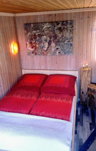 a bed with red pillows in a room at Auszeit in Friedland