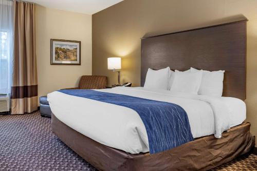 uma cama grande num quarto de hotel em Comfort Inn Wings Stadium em Kalamazoo