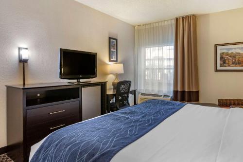 Comfort Inn Wings Stadium – Photos 3