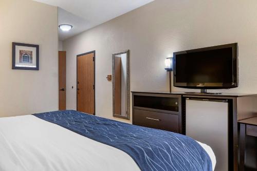 a hotel room with a bed and a flat screen tv at Comfort Inn Wings Stadium in Kalamazoo