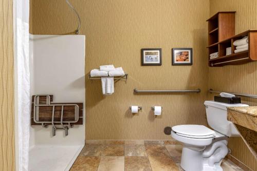 Comfort Inn Wings Stadium – Photos 5