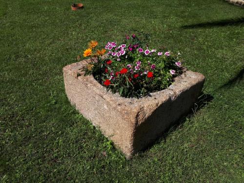 Zahrada ubytování Quintinha dos Cedros