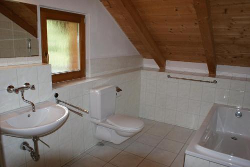 a bathroom with a white toilet and a sink at Rustikale und grosszügige Ferienwohnung in Kašperské Hory