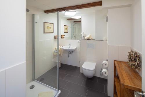 a bathroom with a shower and a toilet and a sink at Haus Mittenmank am Marktplatz in Goslar