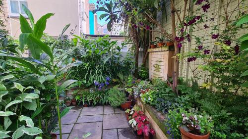 un jardin avec des plantes et des fleurs dans un bâtiment dans l'établissement Red Brighton Blue, à Brighton et Hove