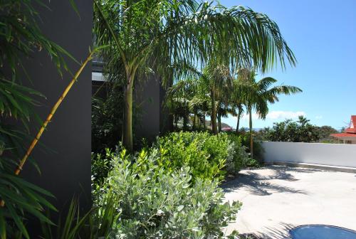 Κήπος έξω από το Rêve de Saint Barth - Vue Mer - Piscine Chauffée & Jacuzzi
