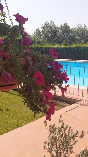Gallery image of AGRITURISMO IL PINO - APPARTAMENTO CIPRESSO in Gambassi Terme