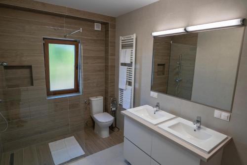 a bathroom with a sink and a toilet and a mirror at Pensiunea Gassi in Sancraiu de Mures