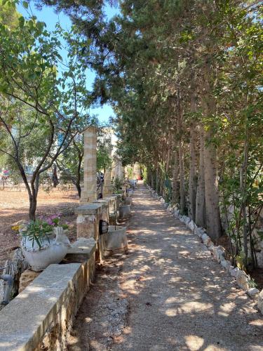 a row of trees lining a path in a park at Attico vista mare in villa antica in Torre Pali 