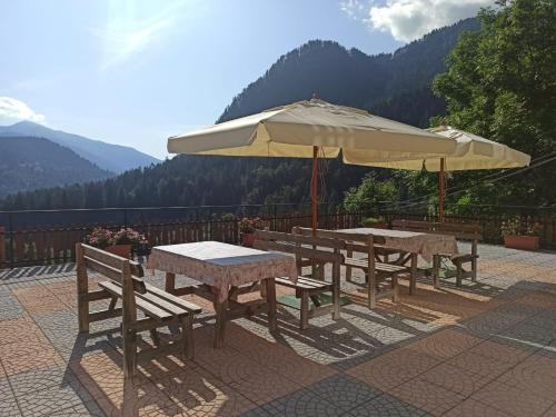 Nespecifikovaný výhled na hory nebo výhled na hory při pohledu z hotelu