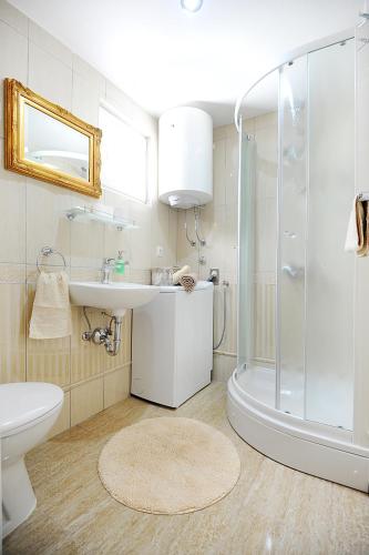a bathroom with a shower and a sink and a toilet at Apartment Primera in Zadar