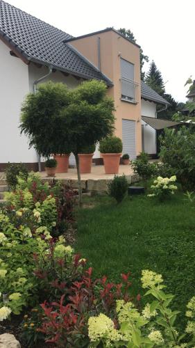a house with potted plants and flowers in a yard at Villa Florentine in Bad Liebenstein