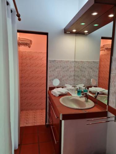 a bathroom with a sink and a shower at Chambre d'hotes "Villa Rayon Vert" in Deshaies