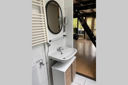 a bathroom with a sink and a mirror on the wall at Chalet 176 in Durbuy