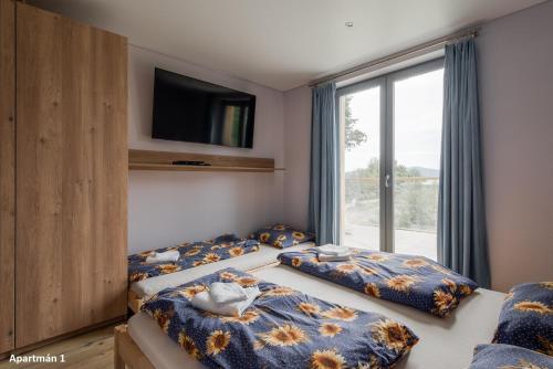 2 camas en una habitación con ventana en Apartmány DOMA Domaša, en Holčíkovce