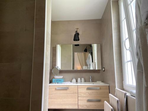 a bathroom with a sink and a mirror at La Maison de Manolie in Courcelles-Sapicourt