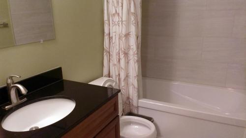 a bathroom with a sink and a toilet and a tub at HB Guest Home in Waterloo