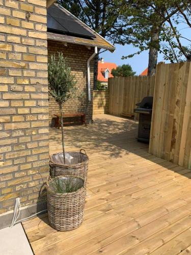 a potted tree in a basket on a patio at luksus spahus i skagen in Skagen