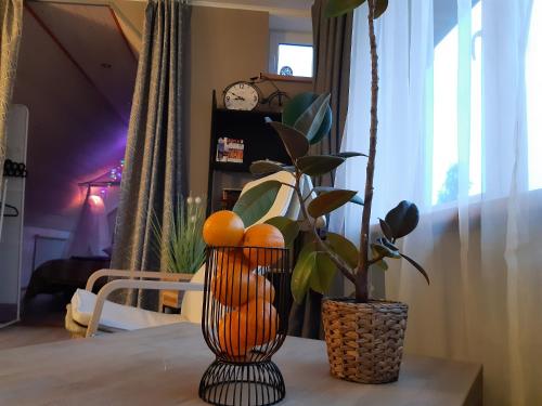 Gambar di galeri bagi Resort "Dream SPA" di Vangaži