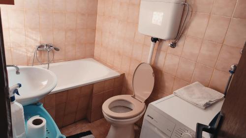 een kleine badkamer met een toilet en een wastafel bij 202 in Bijelo Polje