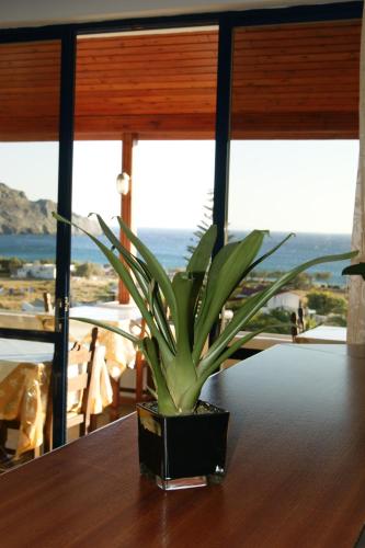 a plant sitting on top of a wooden table at Lofos Hotel in Plakias