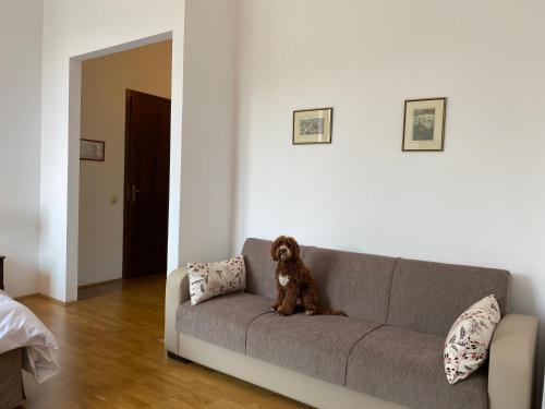 Kakasszéki Vendégház 6821 Székkutas, IV. Körzet Tanya 136 kép - 3