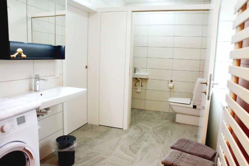 a bathroom with a sink and a washing machine at Landhof Böhm in Arbesbach