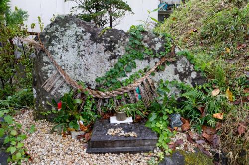 a garden with a rock with plants on it at Ryokan Shinsen in Takachiho