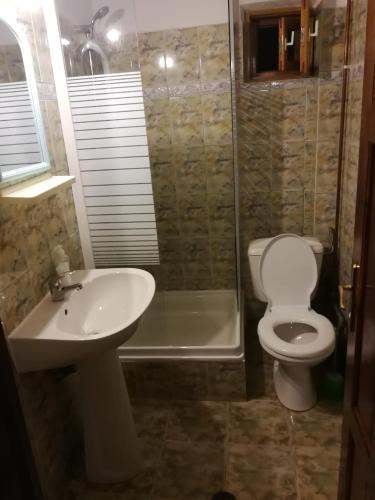 a bathroom with a toilet and a sink and a shower at Pensiunea Mir in Bran
