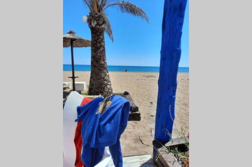 uma praia com palmeiras e uma camisa azul numa cadeira em Calafell beach experience- Calafell playa em Calafell