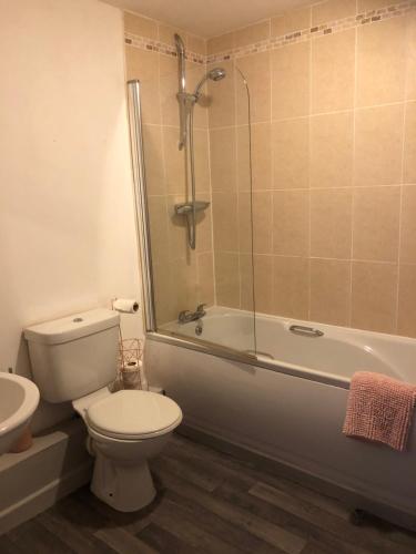 a bathroom with a toilet and a tub and a sink at Gwêl y Dŵr in Llanberis
