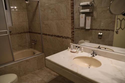 a bathroom with a sink and a shower and a toilet at Sol Plaza Hotel in Puno