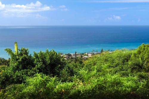 a view of the ocean from the top of a hill at Kona Sunset House at Walua in Kailua-Kona