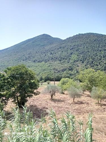 a field with trees and a mountain in the background at La Carrozza sul Titerno in Faicchio