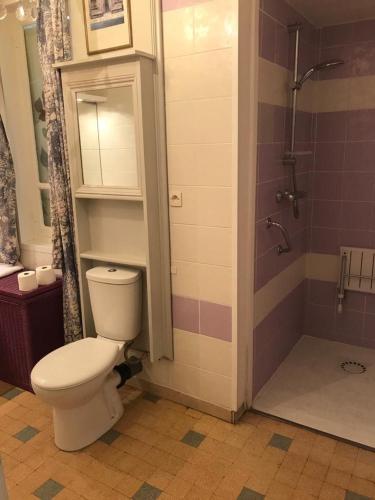 une salle de bain avec toilettes et douche dans l'établissement riverside house apartment, à Fressin