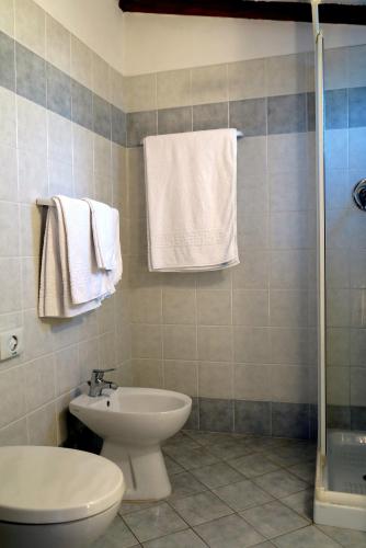 a bathroom with a toilet and a sink and towels at Agriturismo Colomboni in San Costanzo
