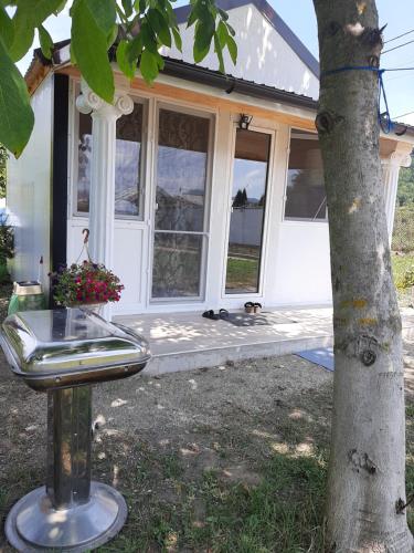 a front porch of a house with a tree at CAZARE LA ESPAÑOLA in Haţeg