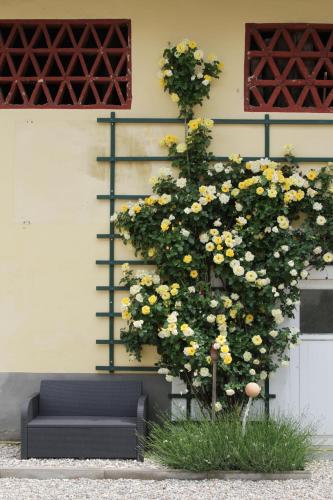 Taman di luar Gutshof Bartl 2