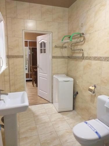 a bathroom with a toilet and a sink at Готель ПАРК in Morshin