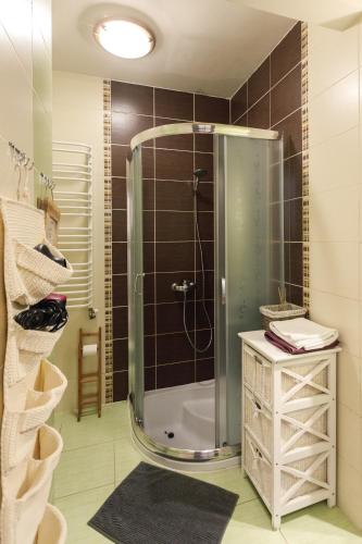 a bathroom with a shower with a glass door at Wetlinowo in Wetlina