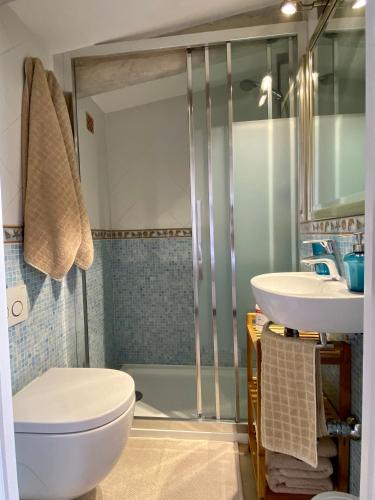 a bathroom with a shower and a toilet and a sink at Ca'n Perlita in Palma de Mallorca