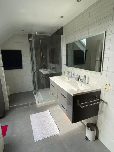 a bathroom with a sink and a shower at BB La Marinière in Theux