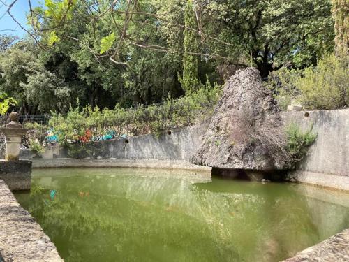 a pond of green water with a large rock in it at Domaine La Tour - SPA - Jacuzzi - Sauna - Massage - 4 SAISONS - Piscine Chauffée Toute l'année - Heated POOL - 800m City Centre Nyons in Nyons