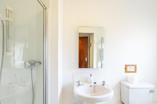 a bathroom with a sink and a toilet and a mirror at Heather Lodge 12 with Hot Tub in Belladrum