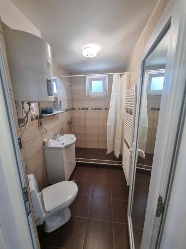 a small bathroom with a toilet and a sink at Apartament Crina in Jurilovca