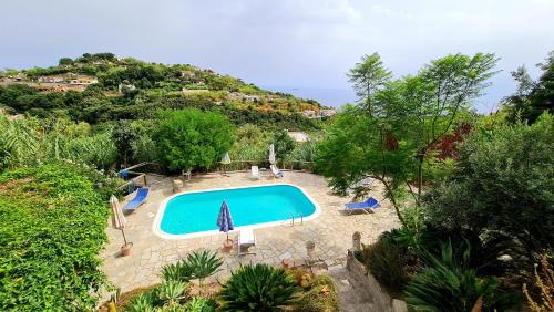 uma vista superior de uma piscina numa colina em Il Sogno em Ischia