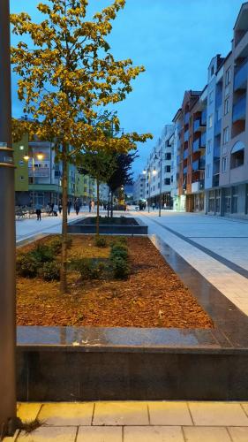 a park with a tree in the middle of a street at Apartmani RALE rooms in Sarajevo