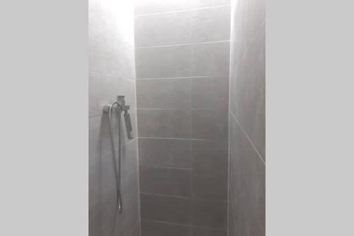 ein Bad mit einer Dusche und einer Glastür in der Unterkunft Le Ravenal in Saint-Louis