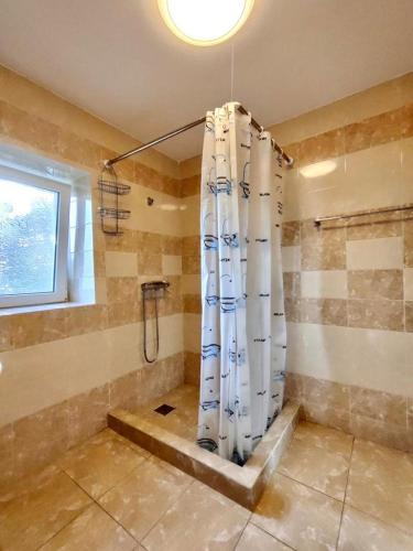 a bathroom with a shower with a shower curtain at Casa Anna in Chilia Veche